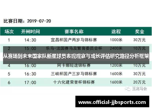 从赛场到未来国家队新星球员表现观察与成长评估研究路径分析框架 从赛场到未来国家队新星球员表现观察与成长评估研究路径分析框架
